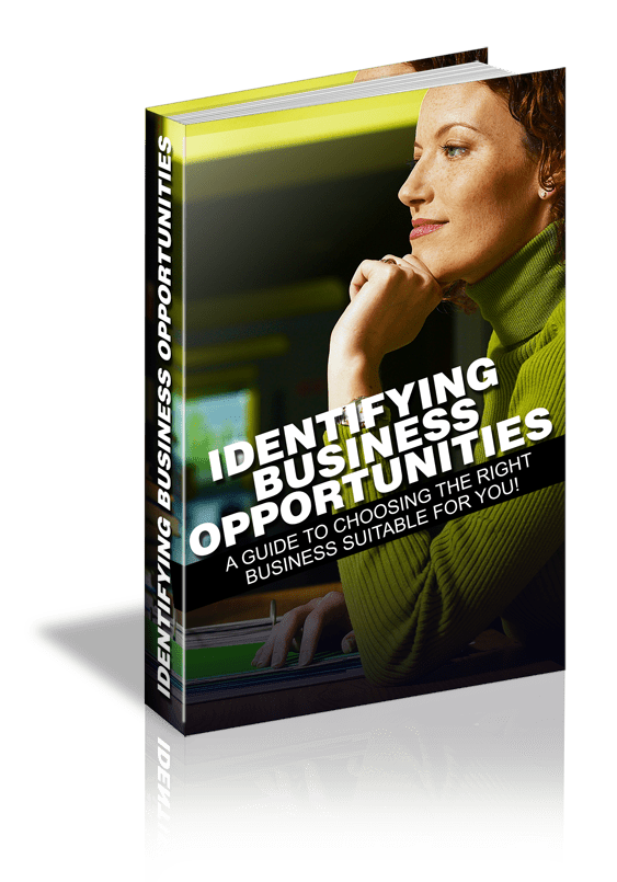 Identifying Business Opportunities