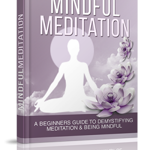 Mindful Meditation