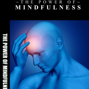 The Power of Mindfulness Ebook